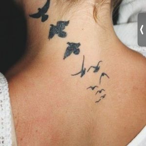 Meet your Posher, Raven